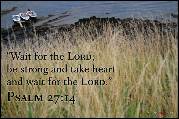 theboatsbehindthestraw